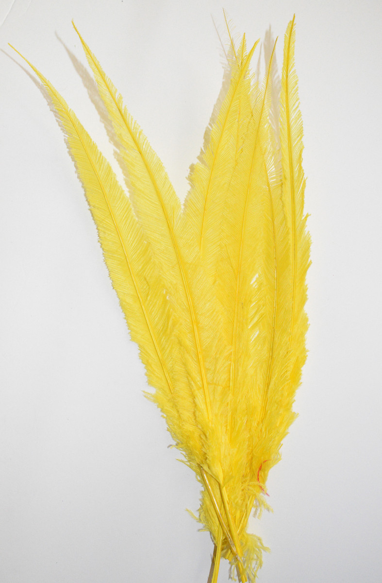 Nandu Ostrich Feathers 18 inch - Yellow image