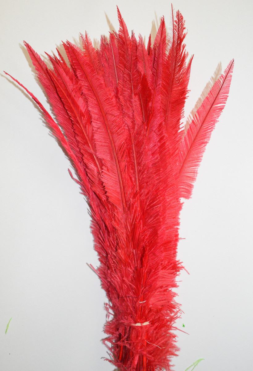 Nandu Ostrich Feathers 18 inch - Red