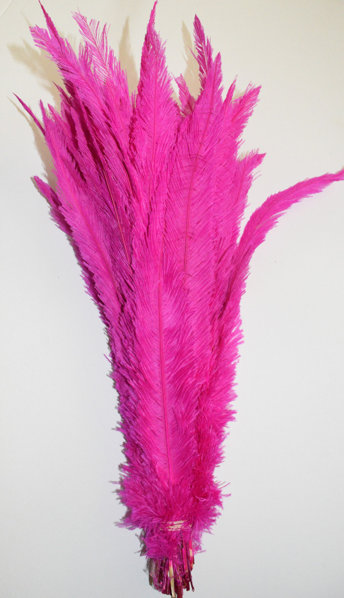 Nandu Ostrich Feathers 18 inch - Hot Pink