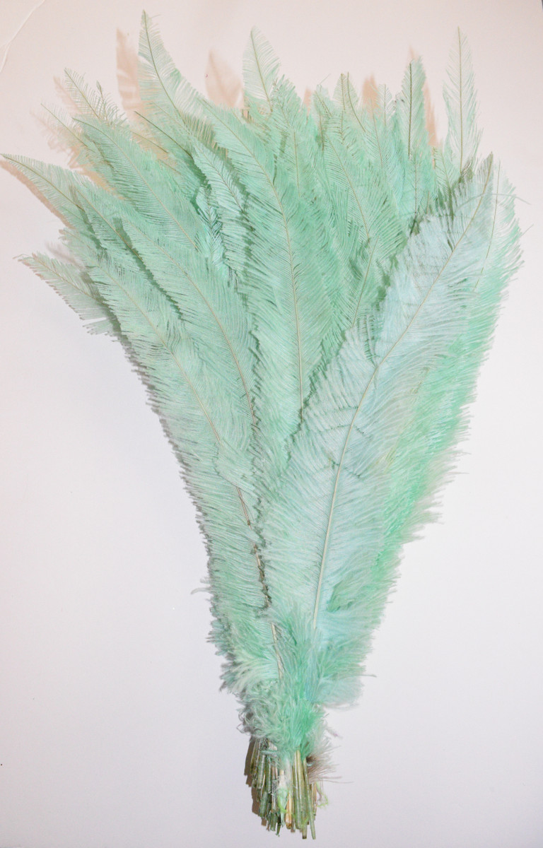 Nandu Ostrich Feathers 18 inch - Mint image