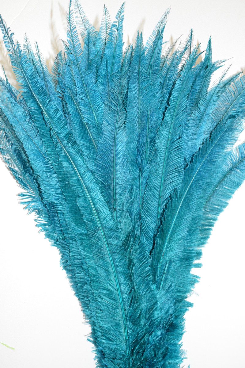 Nandu Ostrich Feathers 18 inch - Dark Teal image